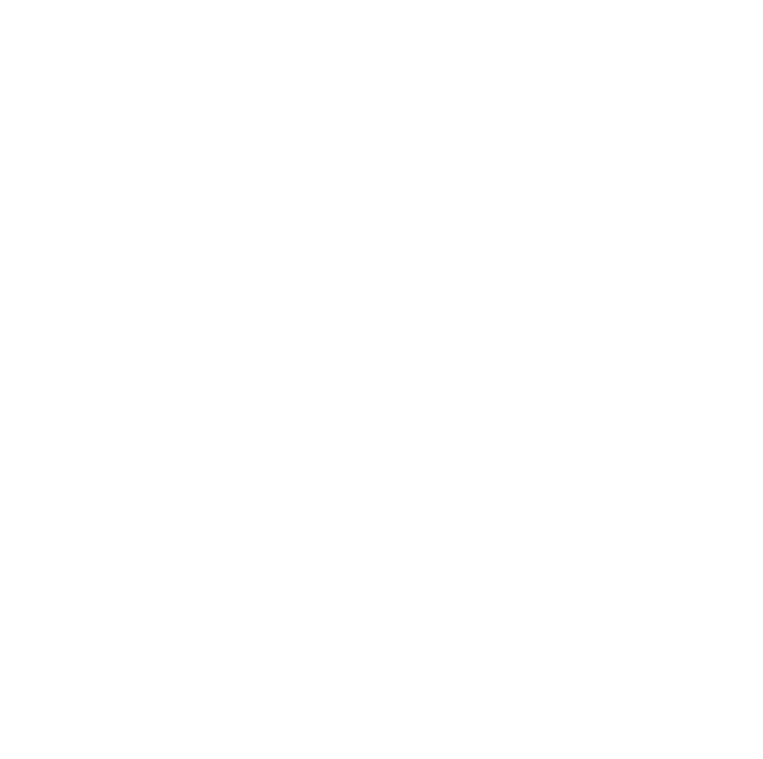 Adler Wachdienste Logo